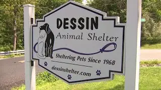 Dessin Animal Shelter receives surprise donation of $400K