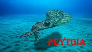 Peytoia