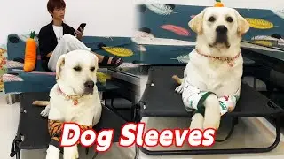 Never say 