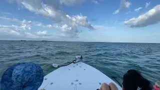 Maverick Master Angler