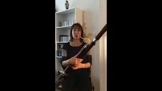 Musikschule@home - Das Fagott