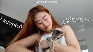 GRAD SCHOOL LIFE: adopting a kitten, life as an introvert, peaceful mornings, weekend getaway