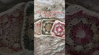 🌸Day 1 of destashing my yarn by crocheting a blanket! #crochet #crochetblanket