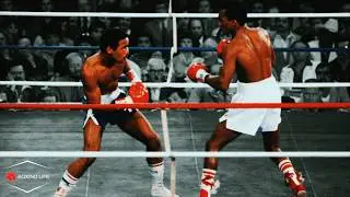 The Fight Benitez Tested Sugar Ray Leonard's Heart and Skill