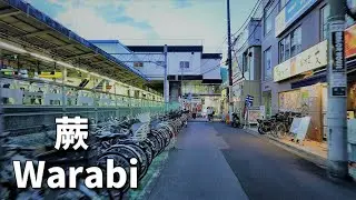 【埼玉／蕨】 Around Warabi Station, Saitama, Japan.　蕨駅周辺を散策