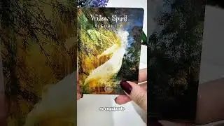 🔮 Mensagem da Espiritualidade 🔮#tarot #signos #espiritualidade #amor #baralhocigano #mensagem