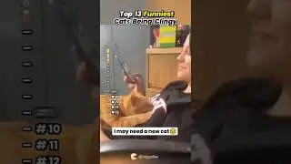 #редактированиетекстапесен