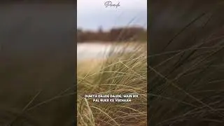 SUKOON 🌙 Punjabi LoFi Song 2025 | Chill R&B Vibes | Badhra's Studio | New Punjabi Relaxing Music