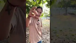 Ele  falou que queria acabar com vc 