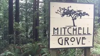 Private Forest elopement