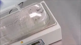 VWR 2L Waterbath
