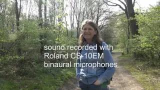 soundrecording Roland CS 10EM
