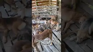 Помогите нам продолжать работу: посмотрите видео, поделитесь им с другом или пожертвуйте любую су...