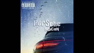 Skiner - Porsche Macan