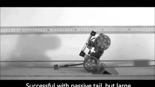 Tailbot Additional Compilation Video