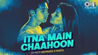 Itna Main Chahoon Tujhe Koi Kisi Ko Na Chahe (Lofi Mix) | Raaz | Bipasha Basu | Alka, Udit|Lofi Song