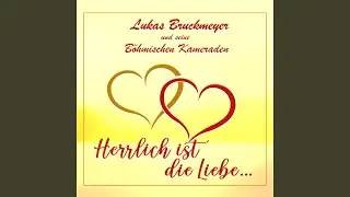Stegersbacher Polka