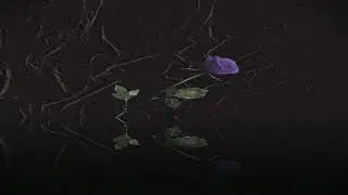 i can never change (prod. xowny)