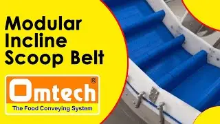 Modular Incline Scoop Belt Conveyor | Omtech Food Conveying System | Hygienic Product Elevation