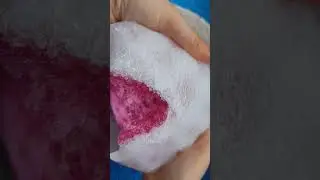 #asmrsounds #spongeasmrcommunity #oddlysatisfying #relax #frozensponge #frozen #rippingsponges #asmr