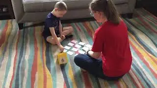 Pyramid Model Video 3: Using a 