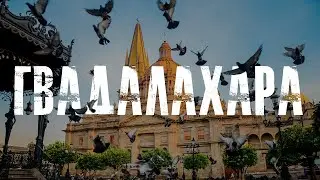 Кошки справились лучше нас. Поездка в Гвадалахару - влог
