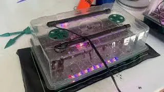 Hugbow Seed Starter Tray with Grow Lights and Heat Mat Review