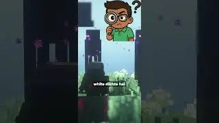 White Enderman: The Hidden Truth Only Endermen Can See!