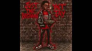 Ynt Jay - Freeze