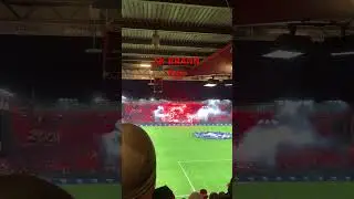 SK Brann fans, the best in Norway🔥