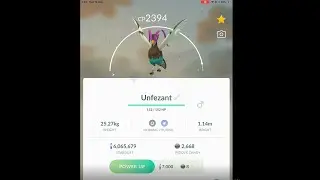 Shiny Pidove evolution in Pokemon go