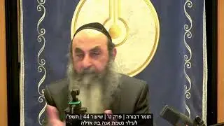קבלייב - שידור בוקר יום ה' | בית מדרש הסולם | תשפ