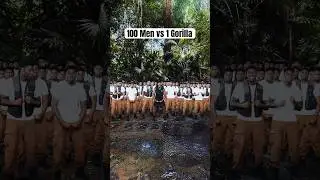 100 men vs. 1 Gorilla