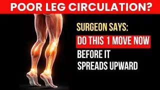 Do THIS 1 Exercise Before Poor Leg Circulation GETS Worse