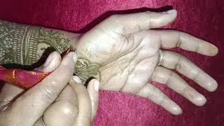 ब्राइडल मेंहदी डिजाइन 🌹