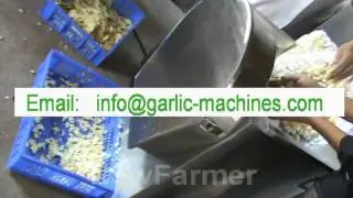 garlic slicer manufacturers,garlic slicer machine,garlic slicing machine price