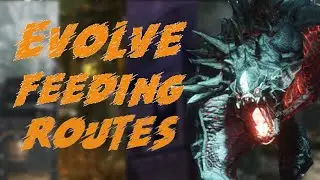 Optimal feeding routes for Evolve Stage 2! (2022)