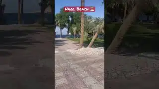 Haql Beach | Saudi Arabia | Saudi Border | Rea Sea 🌊