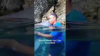 Incredible human & dolphin bond in Bermuda!