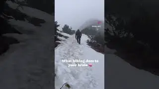 What hiking does to your brain 🧠 #mountains #hiking #lifestyle #therapy