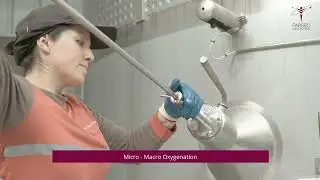 Installation of smart automation for winemaking processes