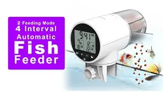 Automatic Fish Feeder with 4 Timer Settings