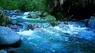 🍃 Soft Morning River ASMR Sounds for Deep Sleep, Relaxation & Calm Focus