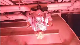 Queen Mary: Haunted harbor: lullaby 