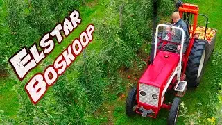 Elstar Elshof and Boskoop | Harvest 2020