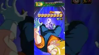 INT Hit DESTROYS Vegito