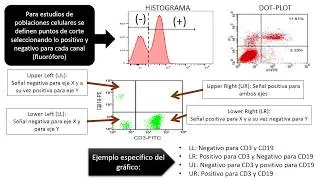 DH: Inmunofenotipo en el diagnóstico de neoplasias hematológicas