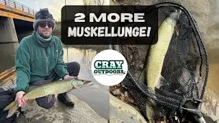Bank Fishing Musky and Pike in WNY! (Fall 2024)
