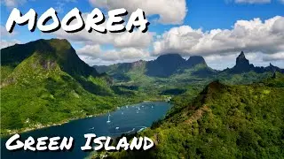 Moorea | Green Island | French Polynesia