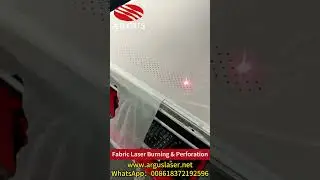 Fabric Laser Burning & Perforation#fabricpainting #fabric #laserbusiness